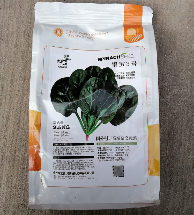 墨宝3号菠菜种子一代杂交抗霜霉病高品质菠菜种籽叶平展肉厚墨绿