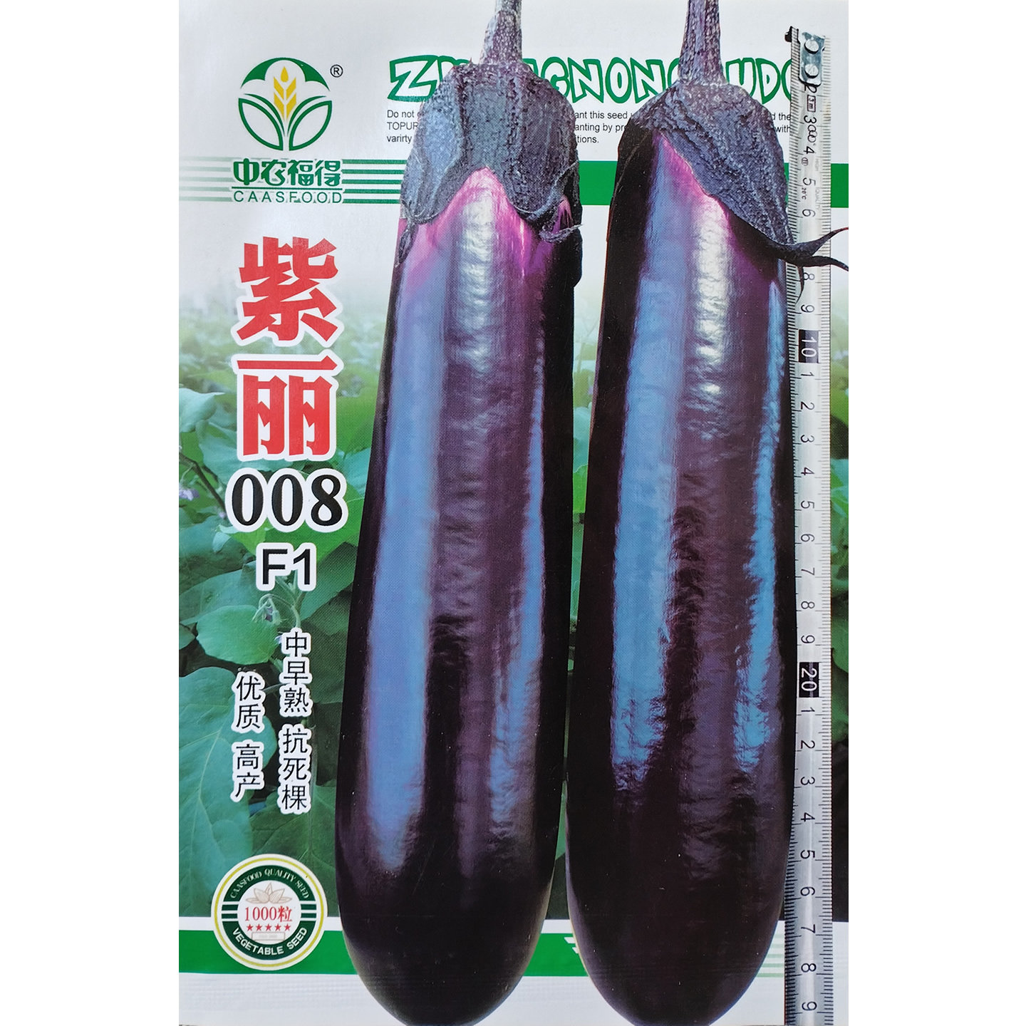 紫丽008优质高产紫红紫黑光亮茄子种子果肉白绿肉质细嫩结果力强