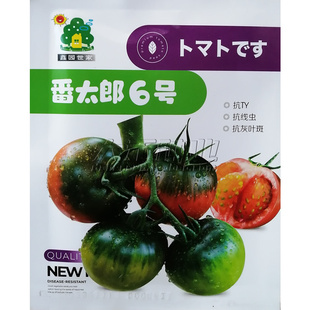 番太郎6号8号水果番茄种籽草莓番茄种子口感型番茄西红柿酸甜可口