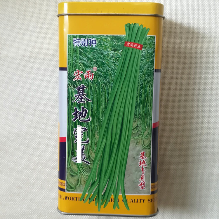 基地用豇豆种子翠绿色高产豆角种子耐老化肉厚不鼓籽豆条整齐美观