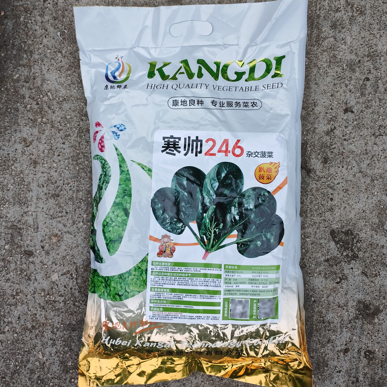 寒帅246杂交趴地菠菜种子塌地墨绿光亮圆叶红根菠菜种籽软嫩抗病