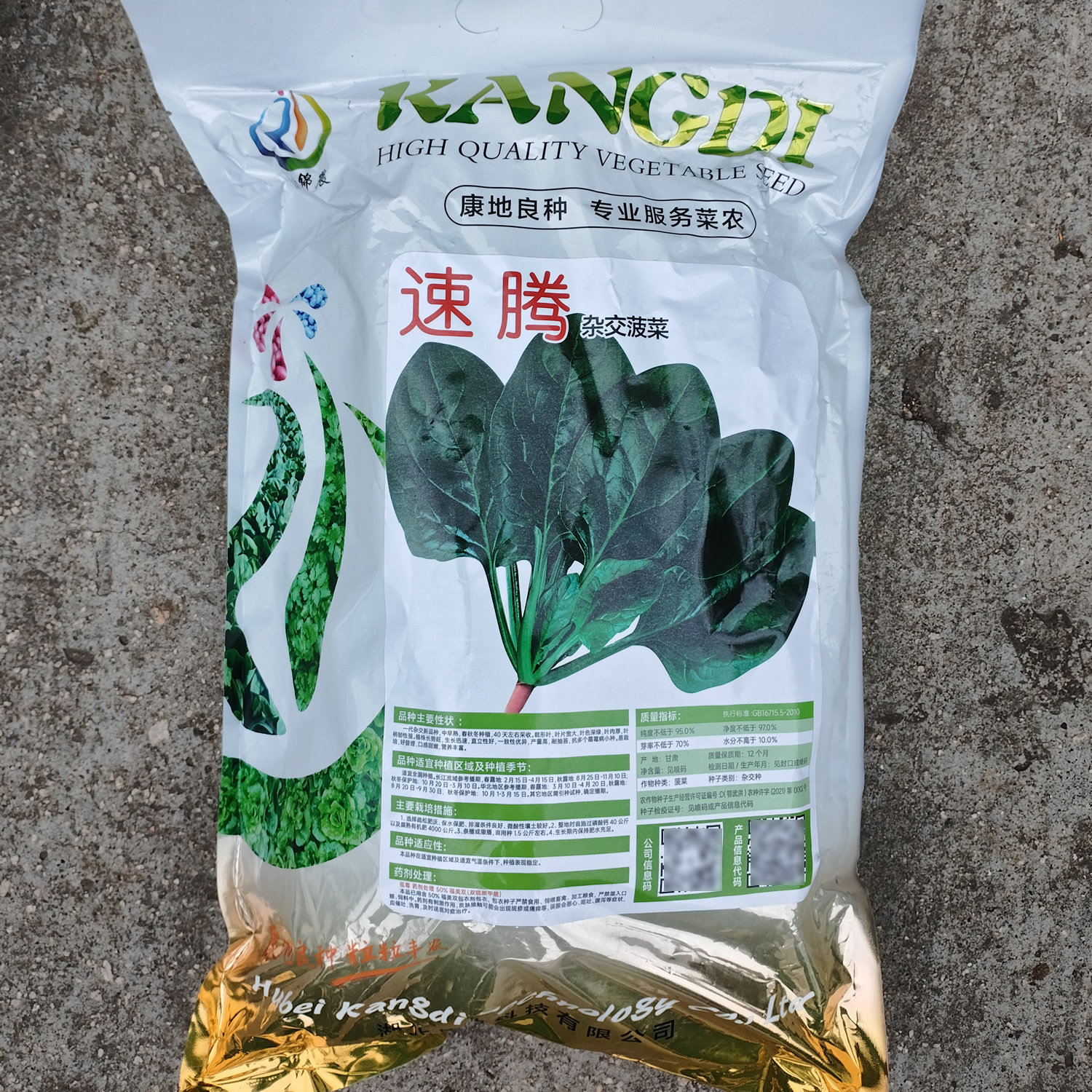 速腾菠菜种子一代杂交抗病菠菜种籽口感甜嫩叶片肥厚耐抽苔春秋播