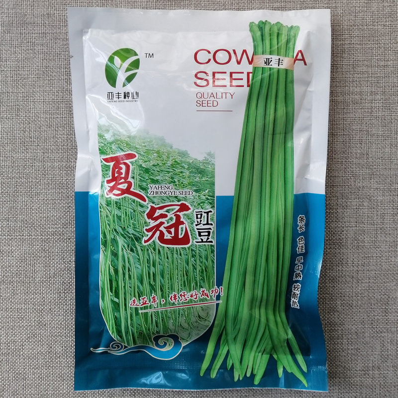 夏冠耐热型豇豆种子嫩荚翠绿色