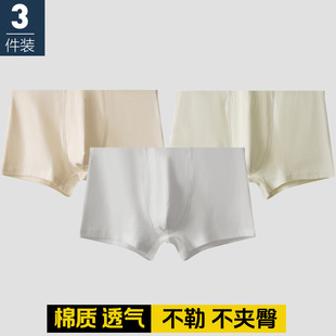 2026新款男士内裤白色纯棉平脚裤头男款四角裤高档男生平角底裤衩