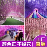 Симуляция глицерия цветочный фасоль цветочный фасоль фиолетовый шелковый цветок