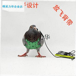 鸽子放飞绳背带遛鸽子赛鸽负重训练背心M宠物鸽乌鸦放飞牵引绳l