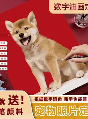 宠物定制数字油画手绘画