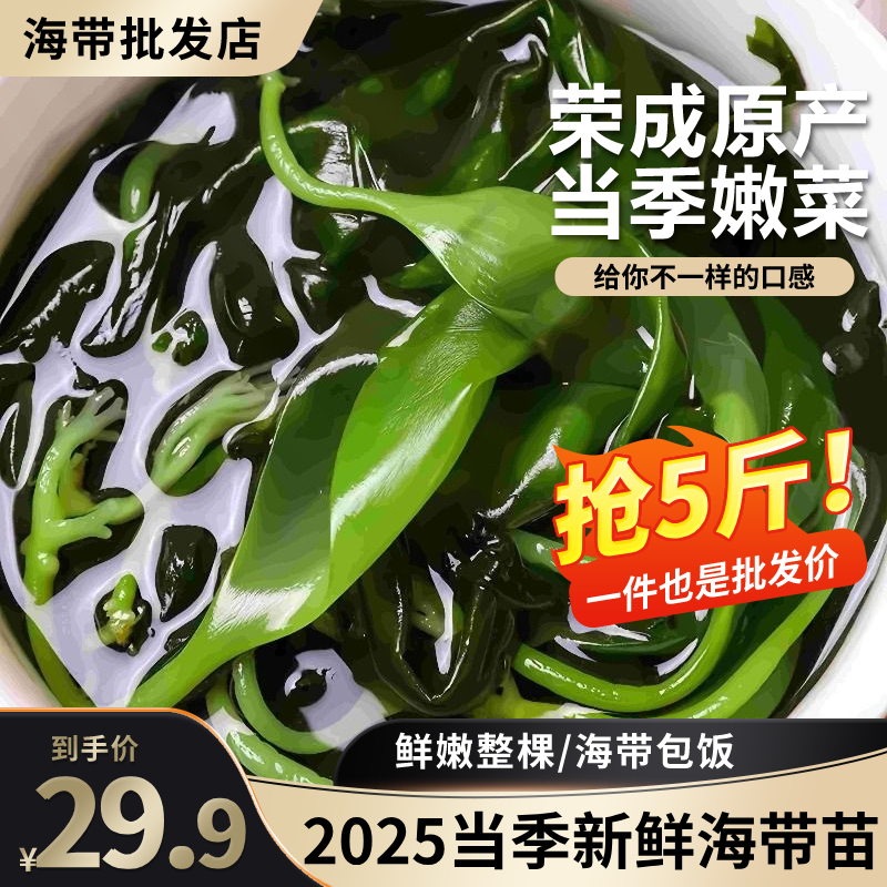 新鲜嫩海带苗小海带芽火锅食材