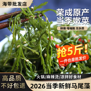 海草鞭炮笋5斤羊栖菜新鲜马尾藻长寿菜盐渍海藻菜半干货海带商用