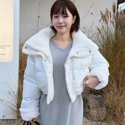 温暖高领羊羔毛内胆棉服短外套