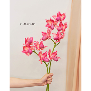 高档房间温馨装 逅里 高品质仿真蝴蝶兰 兜兰 饰摆件 精品兰花系列