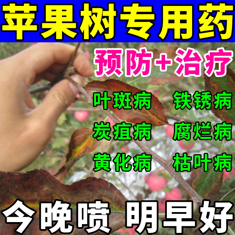 苹果树专用药！专治果树各种病害