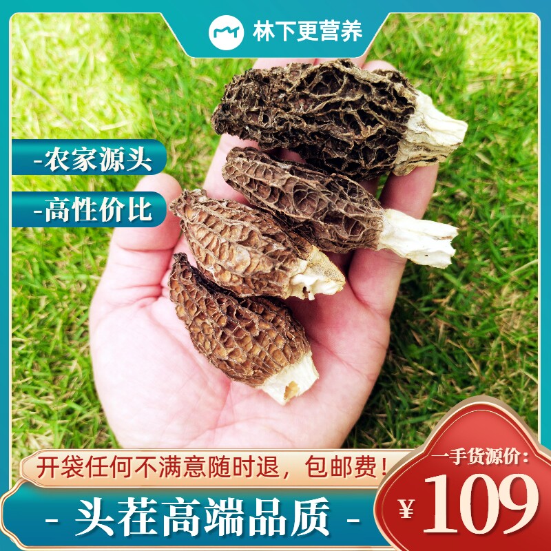 纯野生羊肚菌干货云南西藏特级500g羊肚菇特产煲汤礼盒装26年新货