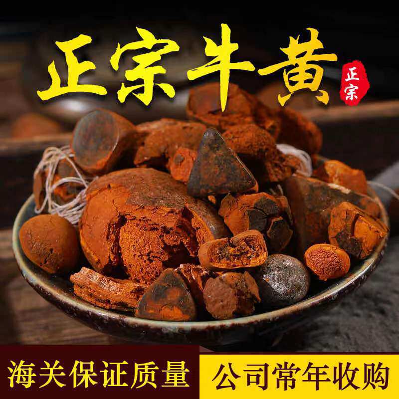 天然牛黄中药材牛胆黄