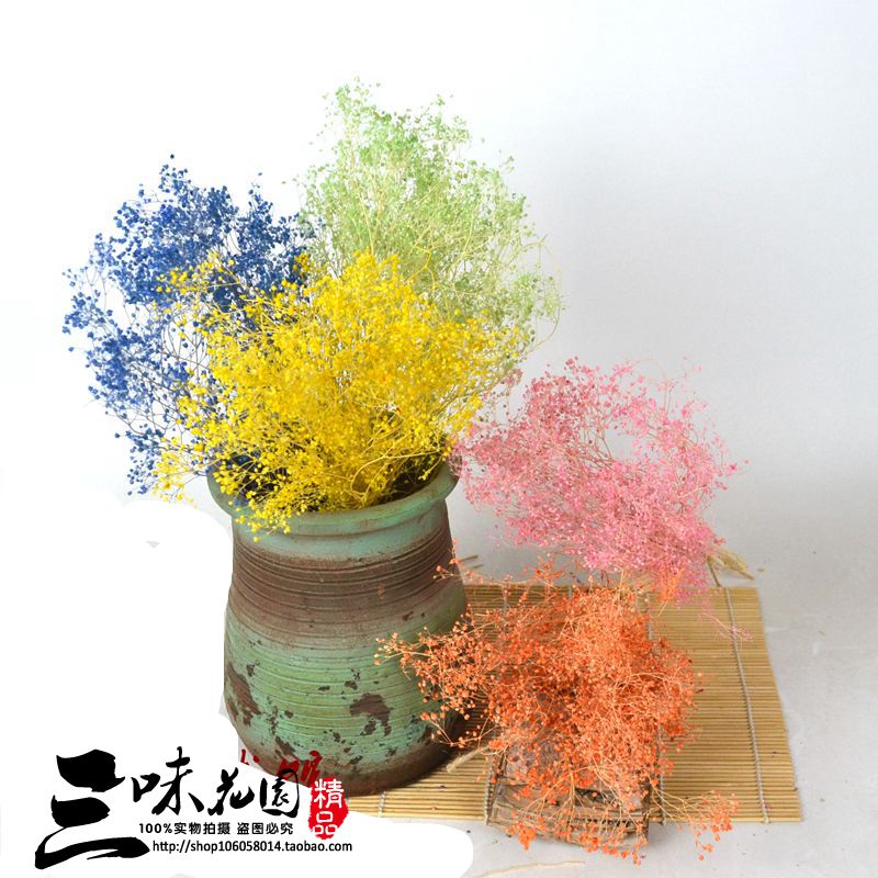 天然百万星风干梦幻草陈列道具外贸干花满天星花束建筑模型树材料