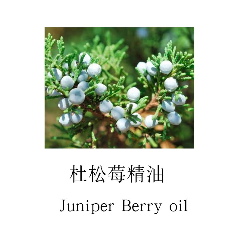斯洛文尼亚杜松莓精油植物芳疗精油杜松子精油10ml样JuniperBerry|msdalam kategori Care pembersih/tuala wanita/kertas/Aromatherapy, Aromatherapy Products, minyak pati aromaterapi - dari Buy2taobao.com untuk memberikan perkhidmatan ejen Taobao profesional membeli