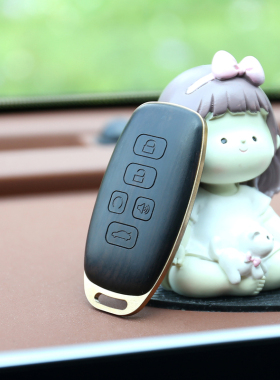适用于传祺埃安AION PLUS iA5 S V Y LX改装高端黑檀车钥匙壳送礼