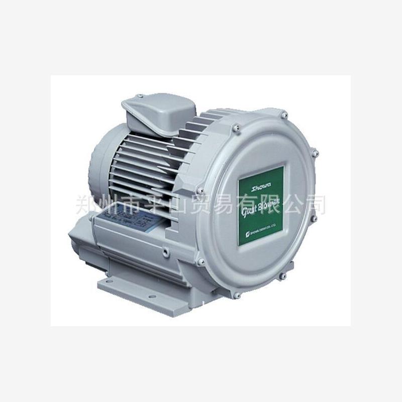 日本SHIOWA昭和涡流式电