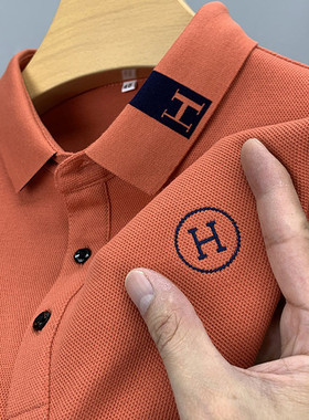 高端保罗男士长袖t恤2022新款翻领刺绣POLO衫纯棉春秋装上衣体桖