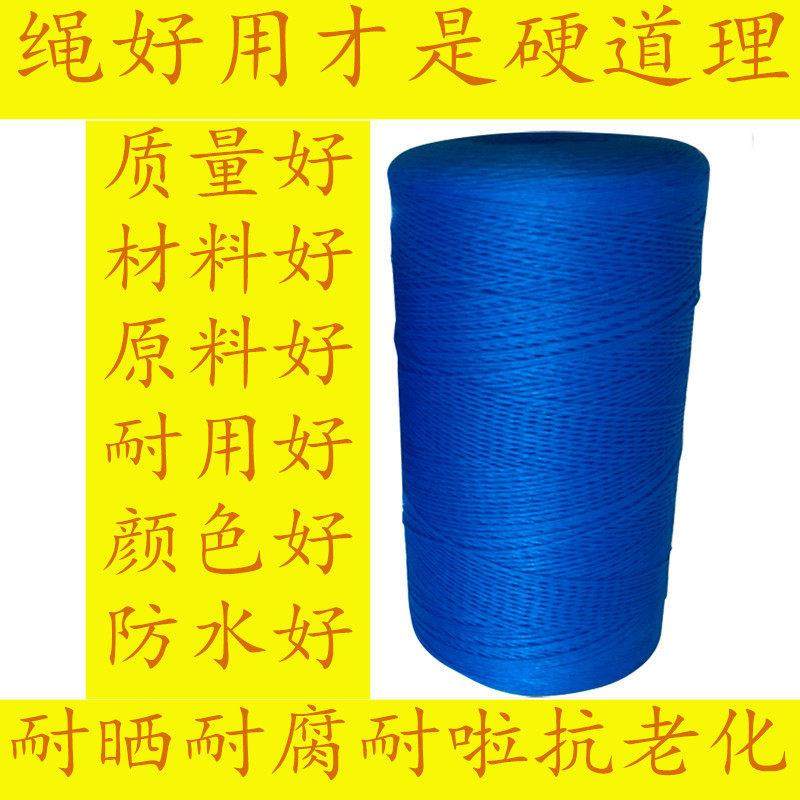 热销1-10MM尼龙绳大棚绳捆绑绳建筑线绳蓝色广告绳渔网聚乙烯绳子,收纳整理,绳子,淘宝优惠券,粉丝福利购,淘宝优惠卷