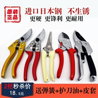 鍓 鏋濅  鏋濅 鏋濅 渷锷 涘 壀鍒 € 滠  滠   ュ ュ 叿 叿 墿 墿  姳 灊鍓  瓙瀹 鑺 鑺 灊鍓         鑺 鑺 灊鍓                