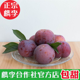 正宗桐乡槜李新鲜李子大果3斤精选檇李水果醉李桃园特产顺丰包邮