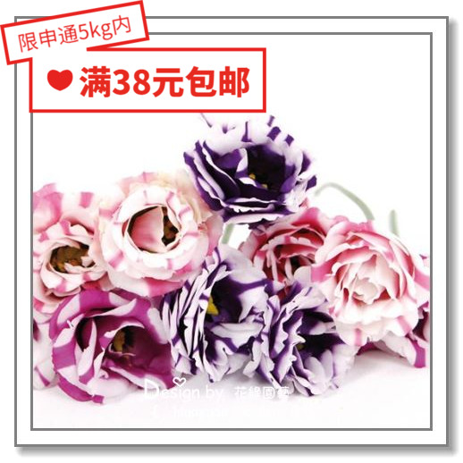进口日本洋桔梗花缘咸菜