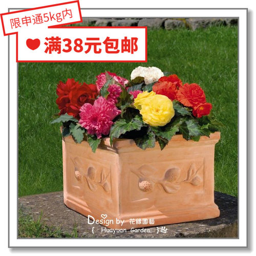 德国球根海棠永恒摩卡花缘咸菜