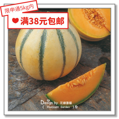 进口英国甜瓜2粒花缘咸菜