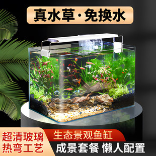 鱼缸客厅2025新款 免换水自循环带氧气造景全套热弯玻璃缸生态草缸