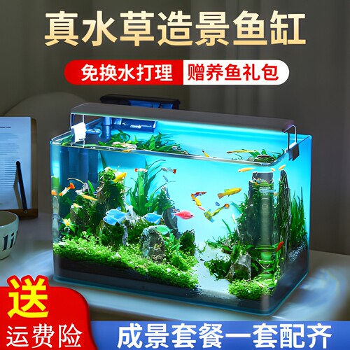造景客厅玻璃生态草缸迷你金鱼缸