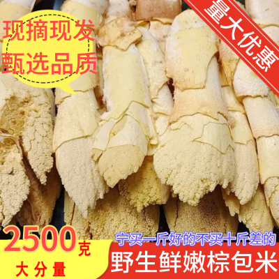 于都棕包赣南特产云南野生新鲜棕包米棕笋粽包花棕树尖棕包棕带壳