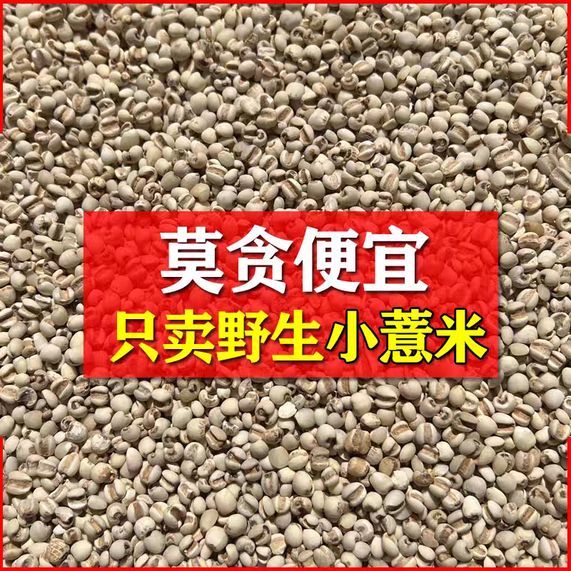 野生小薏米仁中药材500g正宗农家晒小粒薏仁米新货无硫薏苡仁祛湿