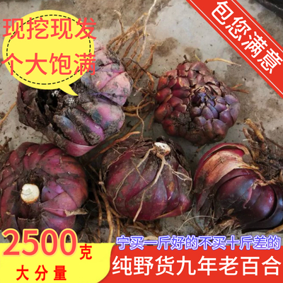 贵州新鲜野百合粉糯生百合干5斤装A级大白合现挖现发微苦老百合蒜