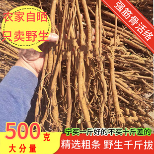 野生小叶千斤拔中药材一条根钉地根千金拨钻地风条根吊马桩金牛尾