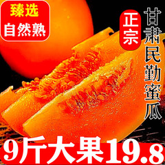 头茬甘肃民勤沙漠蜜瓜金红宝新鲜水果当季整箱黄河特甜香瓜脆包邮