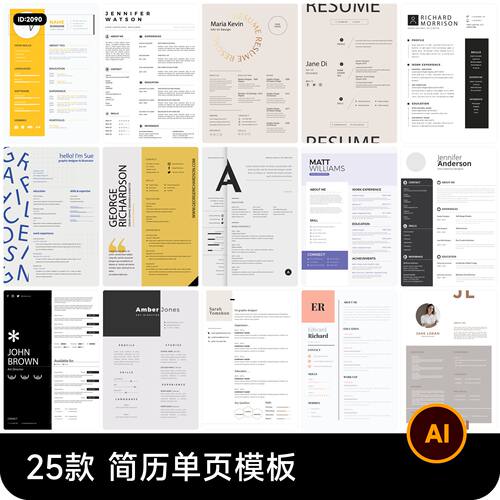 高端极简简约专业个人求职简历单页模版（非word版）AI矢量设计