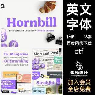 现代艺术黑体logo标志英文字体衬线otf字体素材