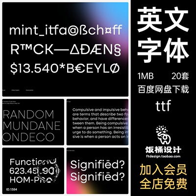 现代艺术无衬线英文时尚ttf字体素材
