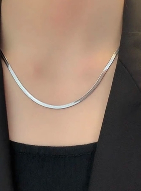 简约气质银色蛇骨链男小众钛钢细项链女锁骨链百搭素链子