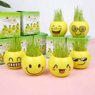 长草头娃娃创意开花迷你小植物盆栽室内阳台抖音同款桌面摆件礼物