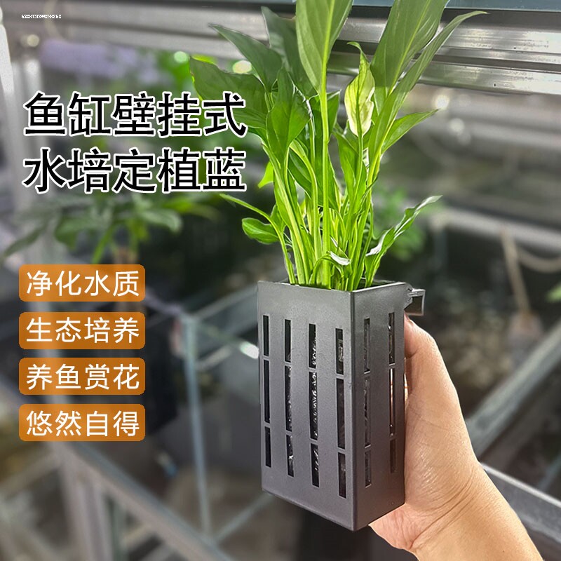 鱼缸水培挂篮绿植红薯篮水培定植篮造景装饰配件古法鱼缸水培挂篮图片