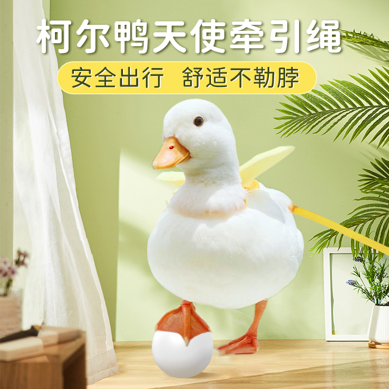 柯尔鸭牵引绳遛鸭子绳胸背带式牵引绳子遛猫绳宠物用品天使牵引绳