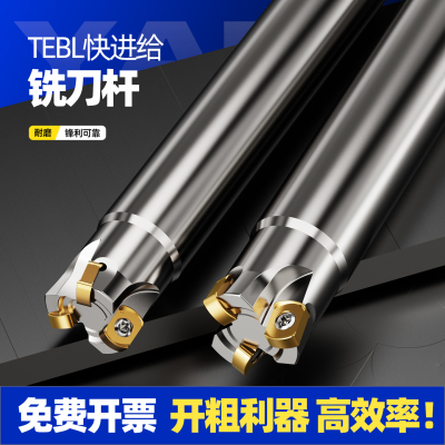 TEBL06快进给双面铣刀杆特固克BLMP0603R刀片数控开粗面铣刀盘