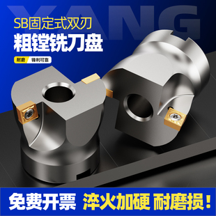 SB固定式粗镗刀盘扩孔刀头ST数控双刃镗刀盘CCMT09 12 44.7-99.7