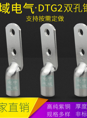 DTGS双孔铜鼻子管压鼻接线端子紫铜线鼻管16/25/35/50/70线耳接头