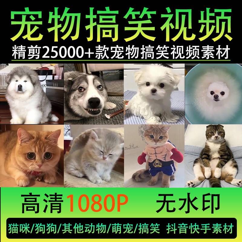 萌宠动物搞笑短视频国外怪可爱猫咪狗狗抖音快手高清无水印素材包