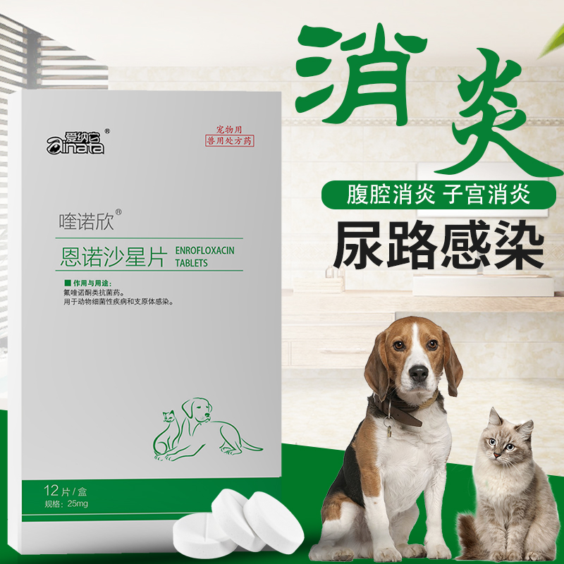 爱纳它恩诺沙星片猫咪狗狗消炎药
