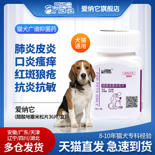 醋酸地塞米松片狗狗顽固皮肤病严重肺炎猫口炎红斑狼疮过敏止痒药