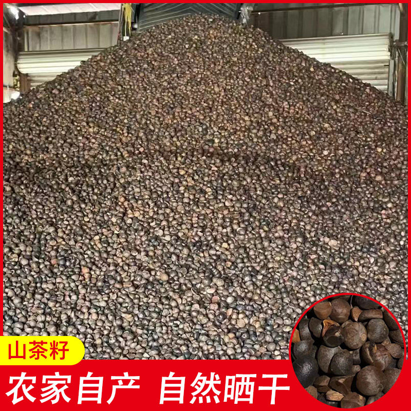 天然农家山茶籽粉榨油原料油料油茶籽自榨茶仔山茶子果茶枯带壳